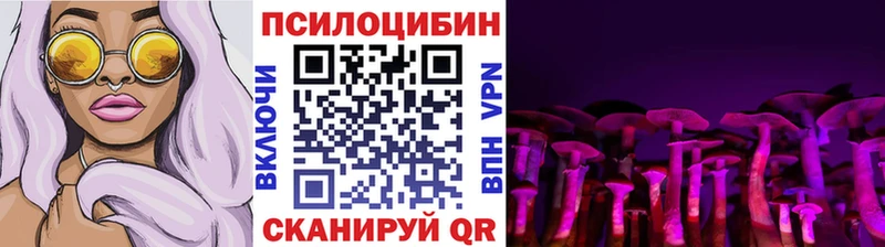 Купить где  Катав-Ивановск  Галлюциногенные грибы мицелий 